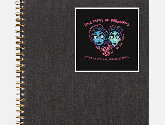 Love Knows No Boundaries