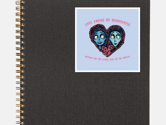 Love Knows No Boundaries