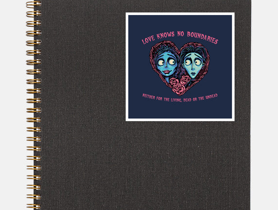 Love Knows No Boundaries