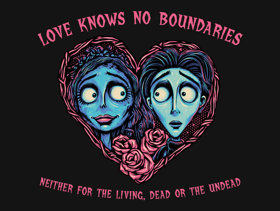 Love Knows No Boundaries