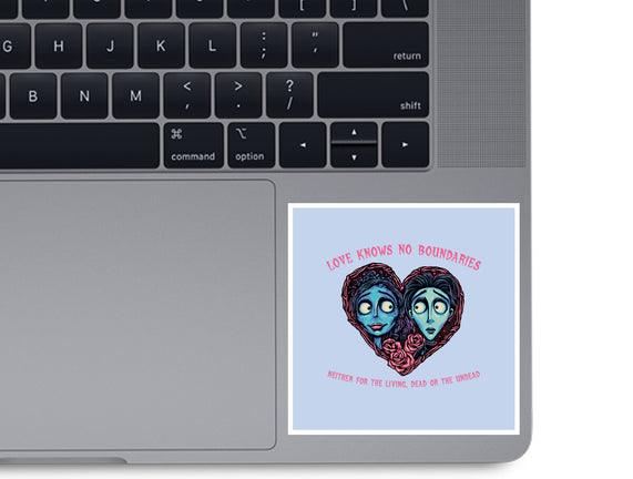 Love Knows No Boundaries