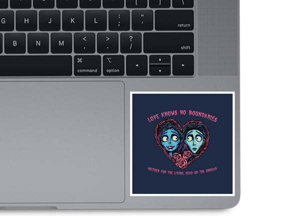 Love Knows No Boundaries