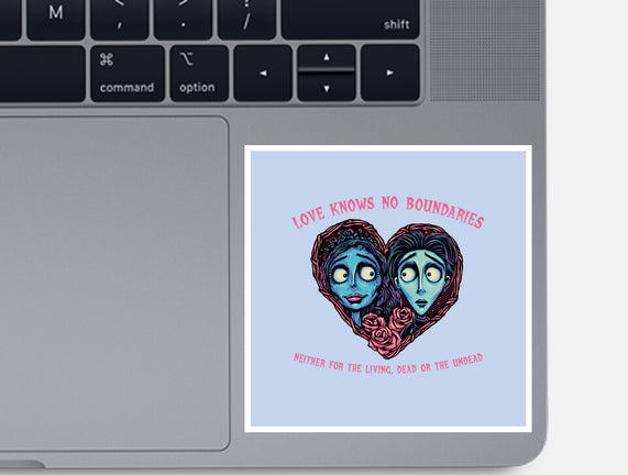 Love Knows No Boundaries