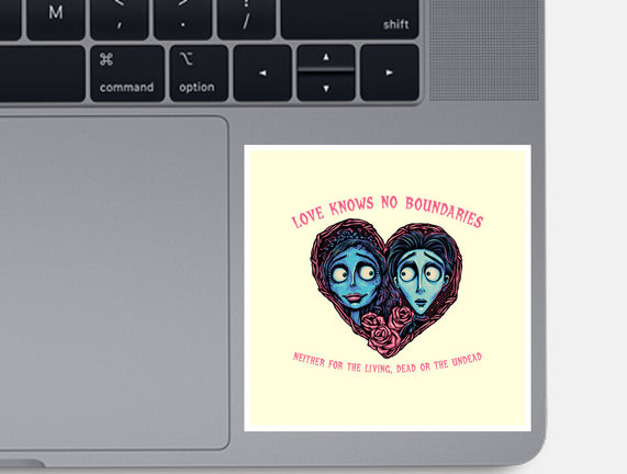 Love Knows No Boundaries