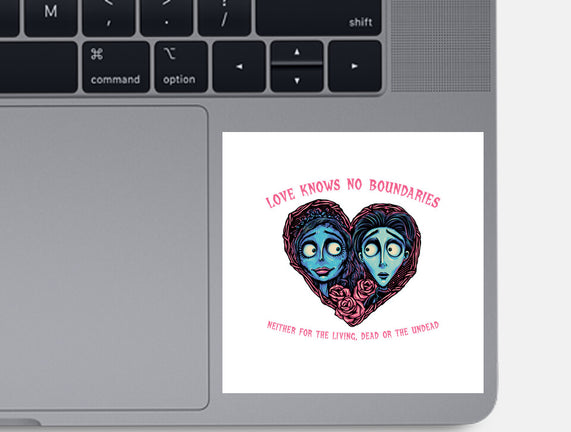 Love Knows No Boundaries