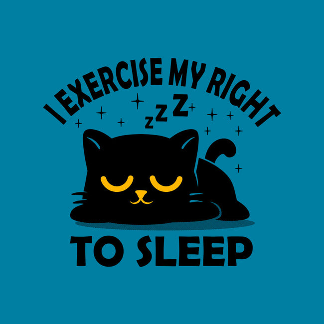 Exercise My Right To Sleep-None-Stretched-Canvas-erion_designs