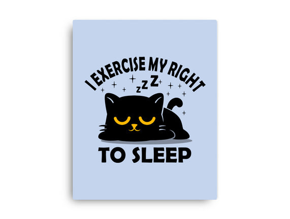 Exercise My Right To Sleep