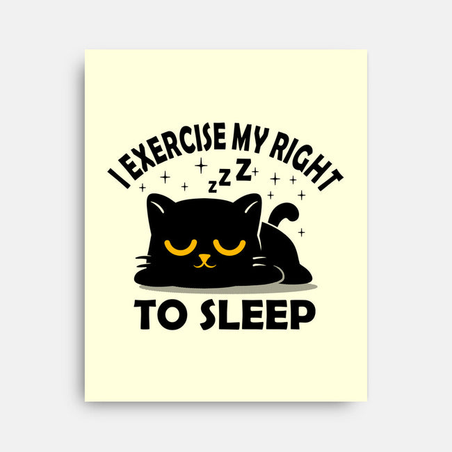 Exercise My Right To Sleep-None-Stretched-Canvas-erion_designs