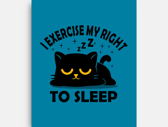 Exercise My Right To Sleep