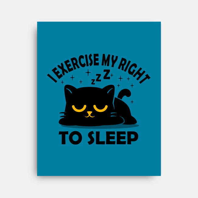 Exercise My Right To Sleep-None-Stretched-Canvas-erion_designs
