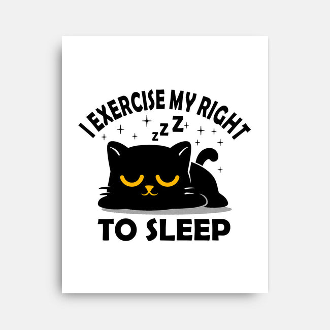 Exercise My Right To Sleep-None-Stretched-Canvas-erion_designs