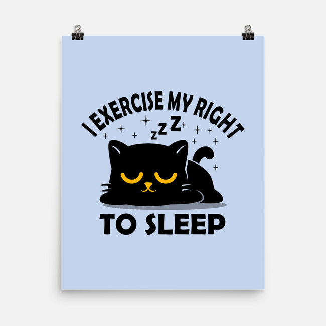 Exercise My Right To Sleep-None-Matte-Poster-erion_designs