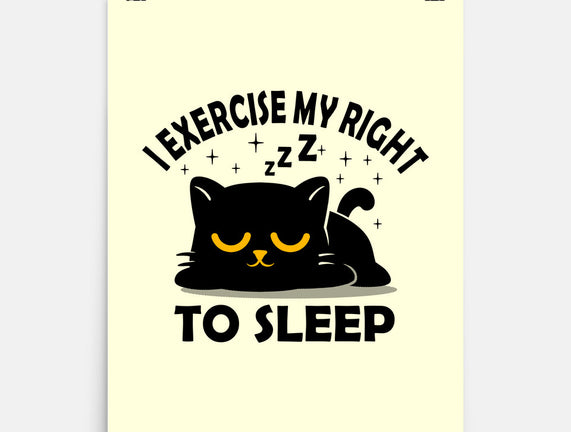 Exercise My Right To Sleep