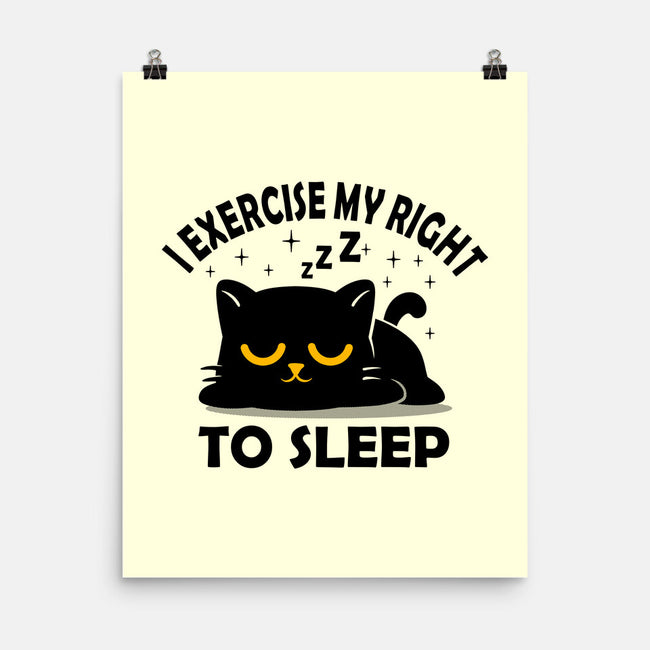 Exercise My Right To Sleep-None-Matte-Poster-erion_designs