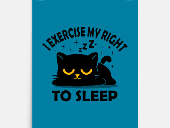 Exercise My Right To Sleep