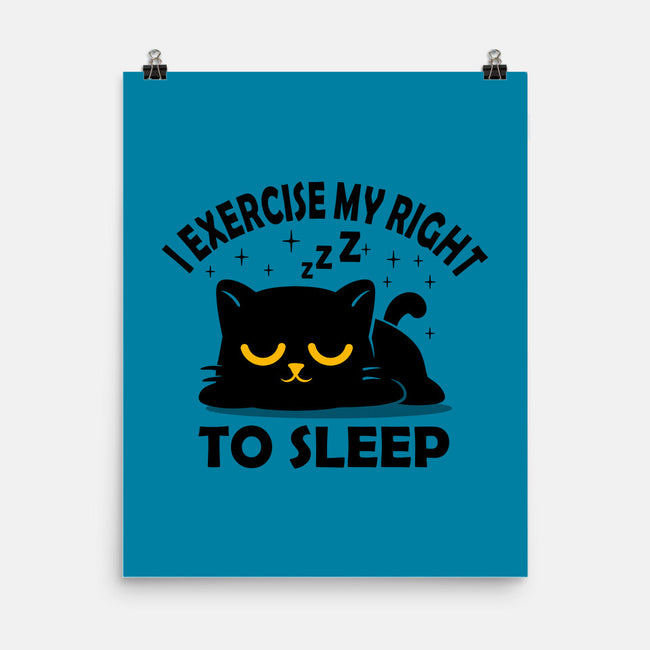 Exercise My Right To Sleep-None-Matte-Poster-erion_designs