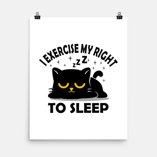 Exercise My Right To Sleep-None-Matte-Poster-erion_designs
