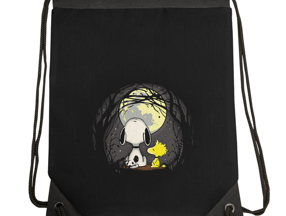 Snoopy's Moon