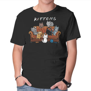 Kittens Friends