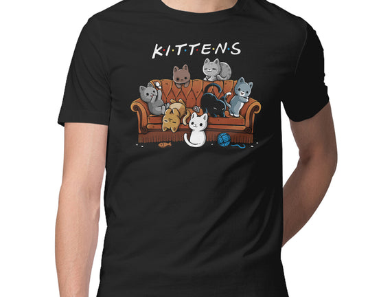 Kittens Friends