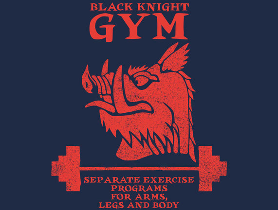 Black Knight Gym