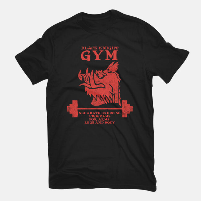 Black Knight Gym-Mens-Heavyweight-Tee-imisko