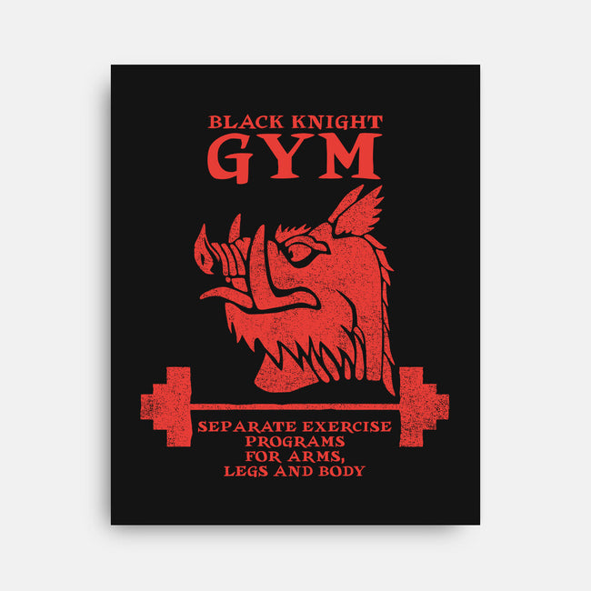 Black Knight Gym-None-Stretched-Canvas-imisko