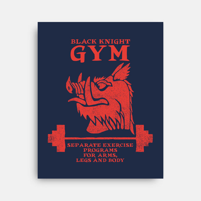 Black Knight Gym-None-Stretched-Canvas-imisko