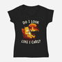 Couldn't Care Any Less-Womens-V-Neck-Tee-dandingeroz