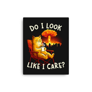 Couldn't Care Any Less