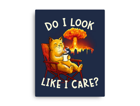 Couldn't Care Any Less