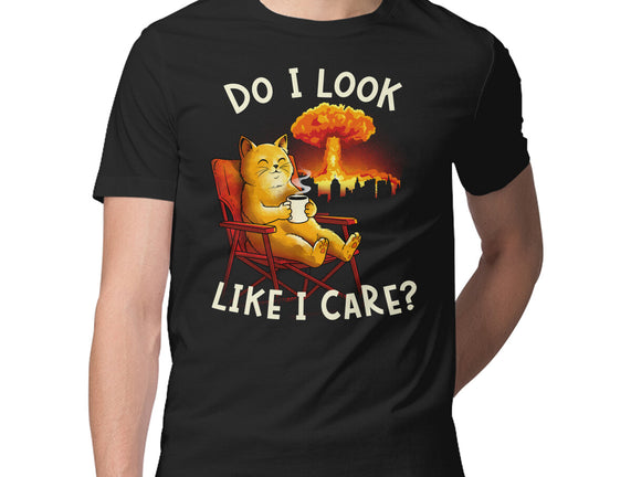 Couldn't Care Any Less