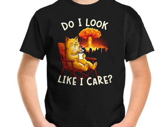 Couldn't Care Any Less