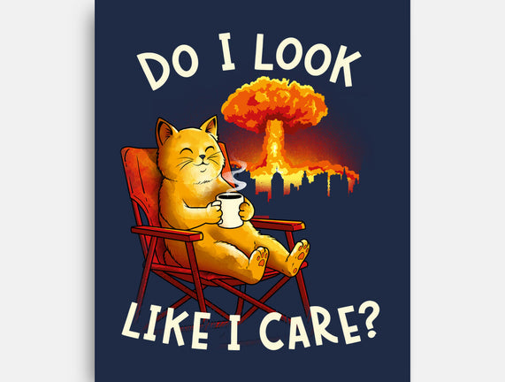 Couldn't Care Any Less