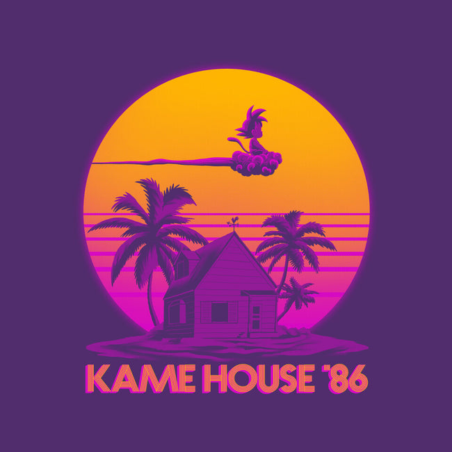 Lame House 86-None-Stretched-Canvas-rmatix