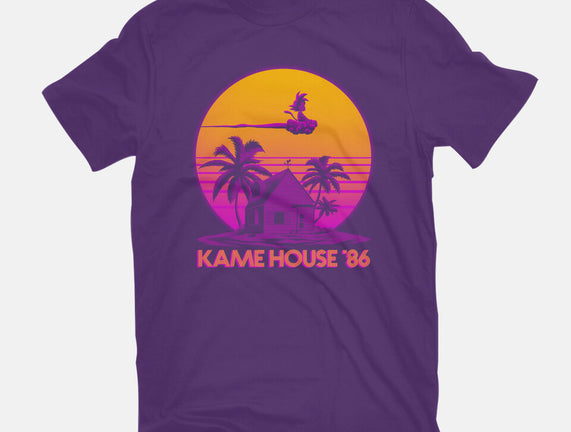 Lame House 86