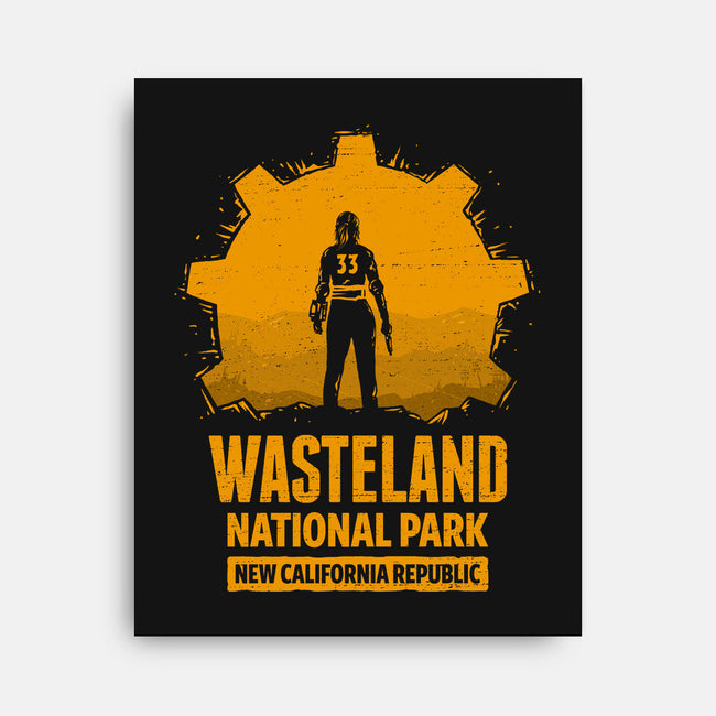 Wasteland National Park-None-Stretched-Canvas-kg07