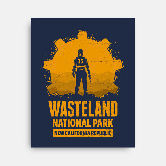Wasteland National Park-None-Stretched-Canvas-kg07
