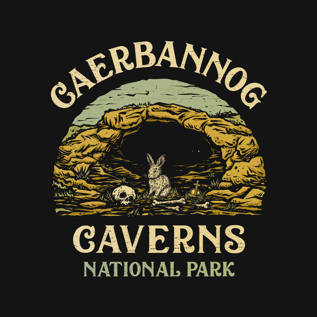 Caerbannog Caverns National Park-Youth-Basic-Tee-kg07