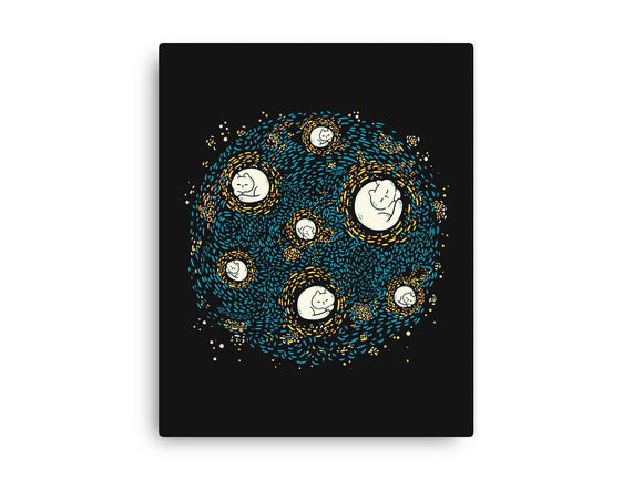 Starry Meow Night