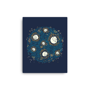 Starry Meow Night