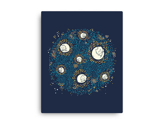 Starry Meow Night