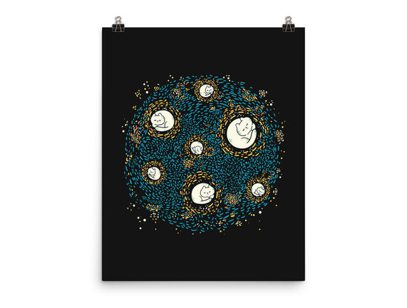 Starry Meow Night
