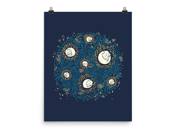 Starry Meow Night