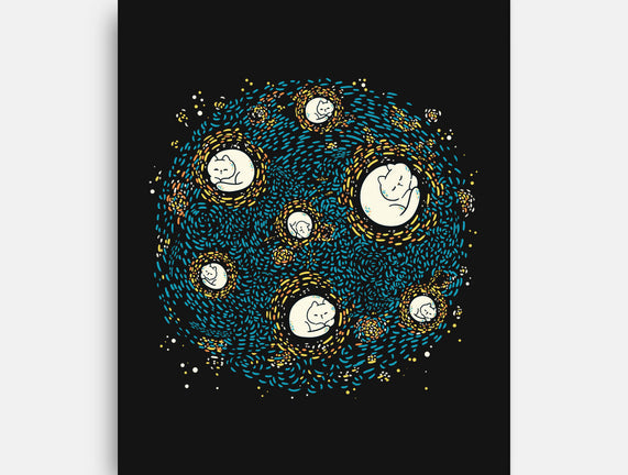 Starry Meow Night