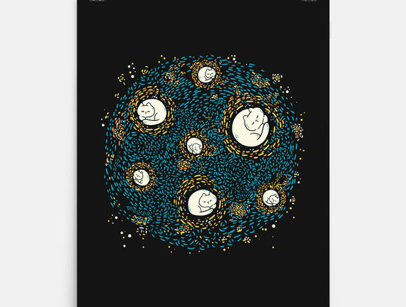 Starry Meow Night