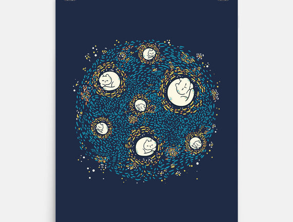 Starry Meow Night