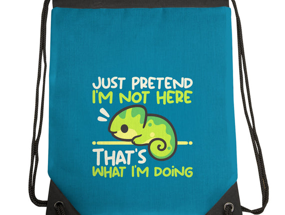 Chameleon Not Here