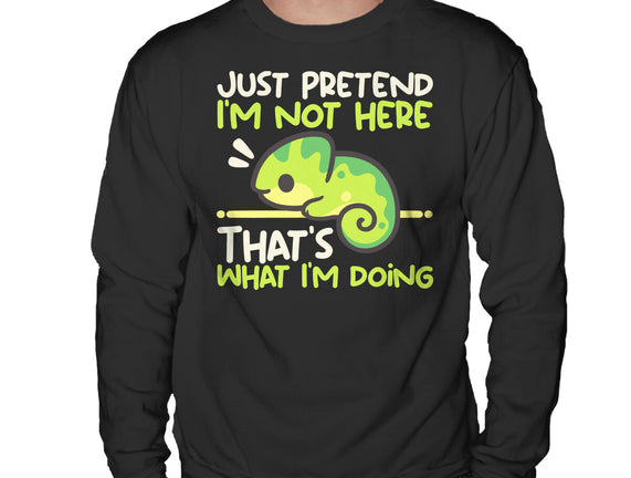 Chameleon Not Here