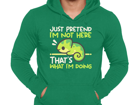 Chameleon Not Here